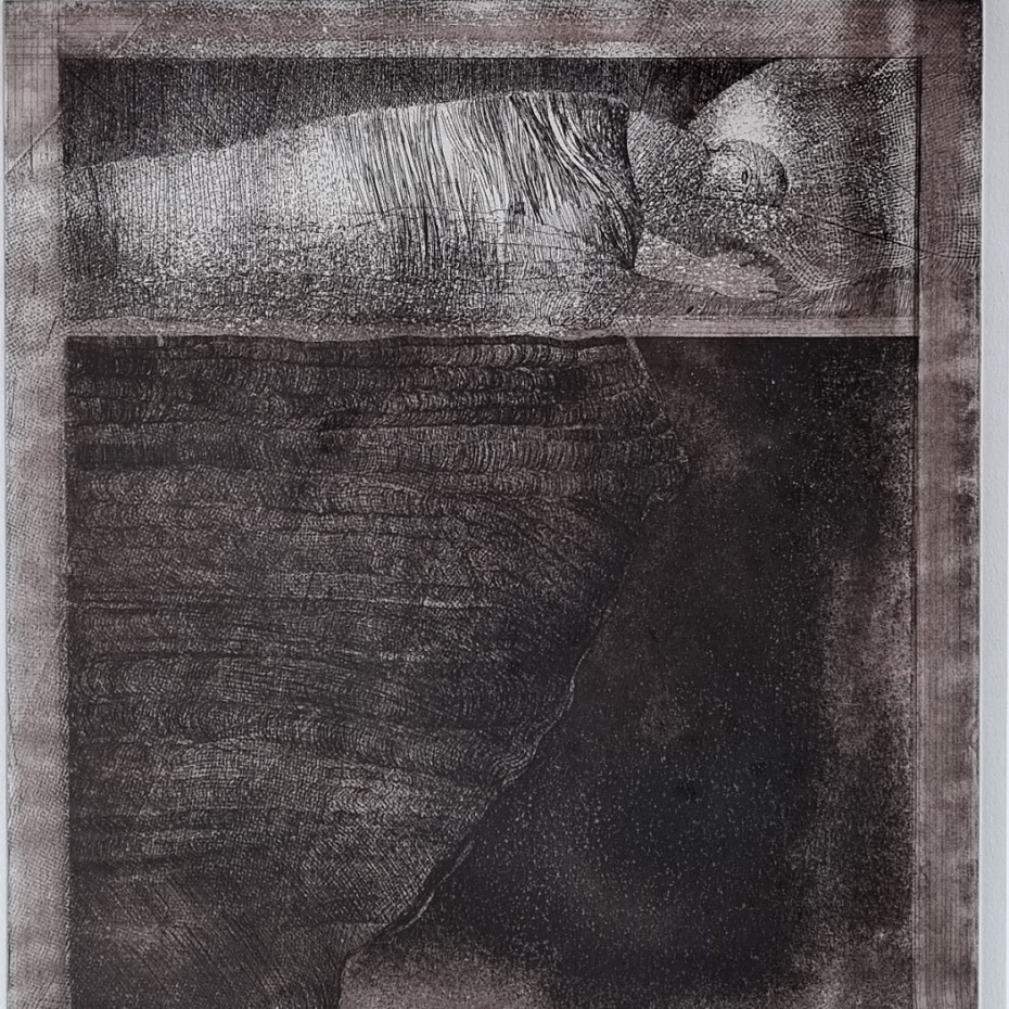 Ann Brunskill - On the Edge of Sleep