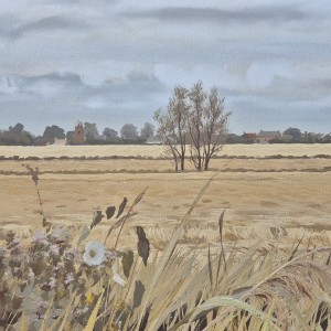 Anthony Day - The Barley Fields