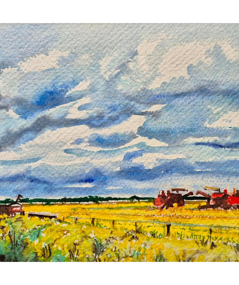 Barbara Tribe - Harvesting New South Wales