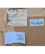 Barbara Tribe - Harvesting New South Wales