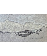 Christopher Hall - Two Women - Castro Daire