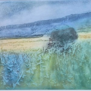 Donald Wilkinson - Cleadale