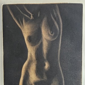 Francis Kelly - Golden Nude