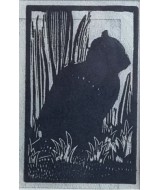 Rupert Lee - Black Cat