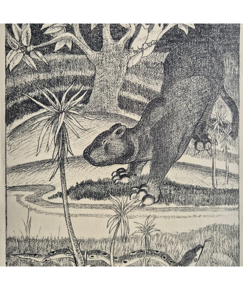 Rupert Lee - The Jungle