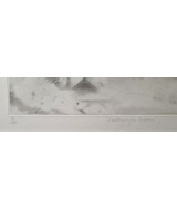 Terry Willson - Anatomy of a Scream